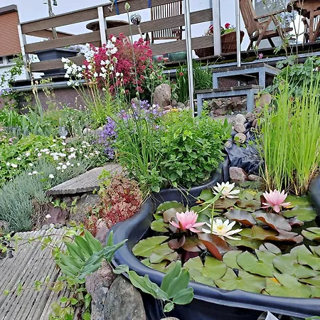 Apartment Haus Haase